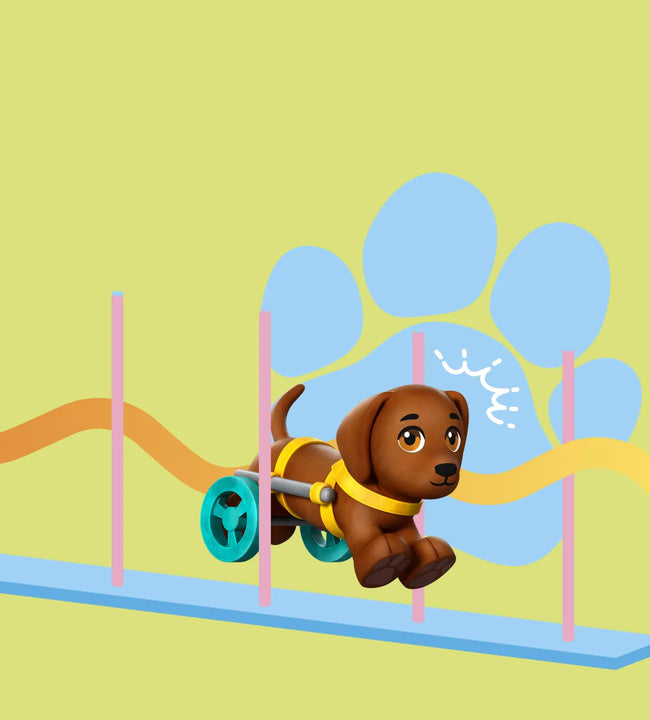 Put your pets to the test!