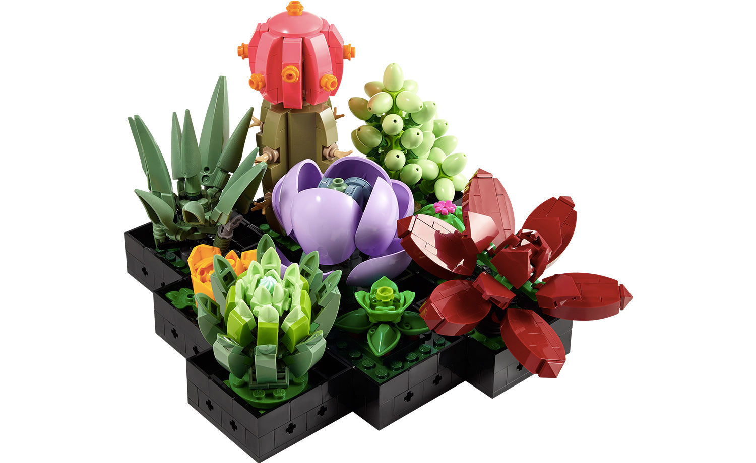 10309 | LEGO® Botanicals Succulents