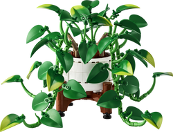 11512 | LEGO® Botanicals Hanging Golden Pothos Sets Botanicals