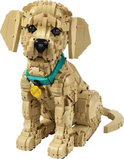 11384 | LEGO® ICONS™ Golden Retriever Puppy