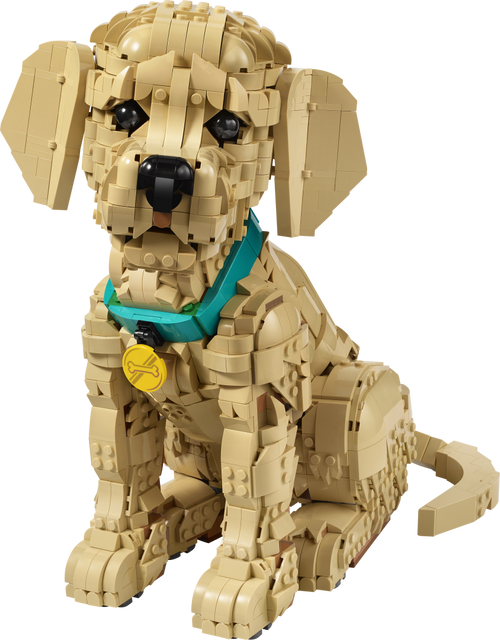 11384 | LEGO® ICONS™ Golden Retriever Puppy