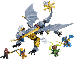71855 | LEGO® NINJAGO® Ninja Dragon Riyu's Battle