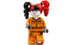 76300 | LEGO® DC Arkham Asylum™