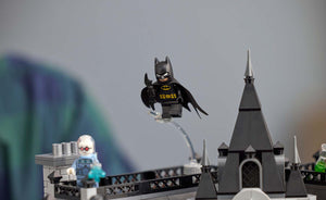 76300 | LEGO® DC Arkham Asylum™