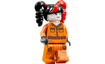 76300 | LEGO® DC Arkham Asylum™