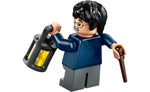 76434 | LEGO® Harry Potter™ Aragog in the Forbidden Forest™