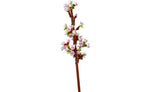 40725 | LEGO® Iconic Cherry Blossoms