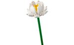 40647 | LEGO® Iconic Lotus Flowers