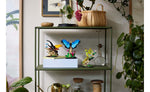 21342 | LEGO® Ideas The Insect Collection