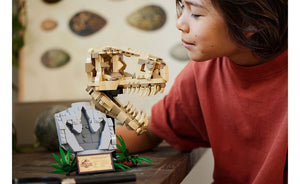 76964 | LEGO® Jurassic World™ Dinosaur Fossils: T. rex Skull