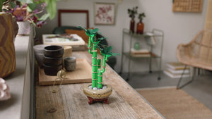 10344 | LEGO® Botanicals Lucky Bamboo