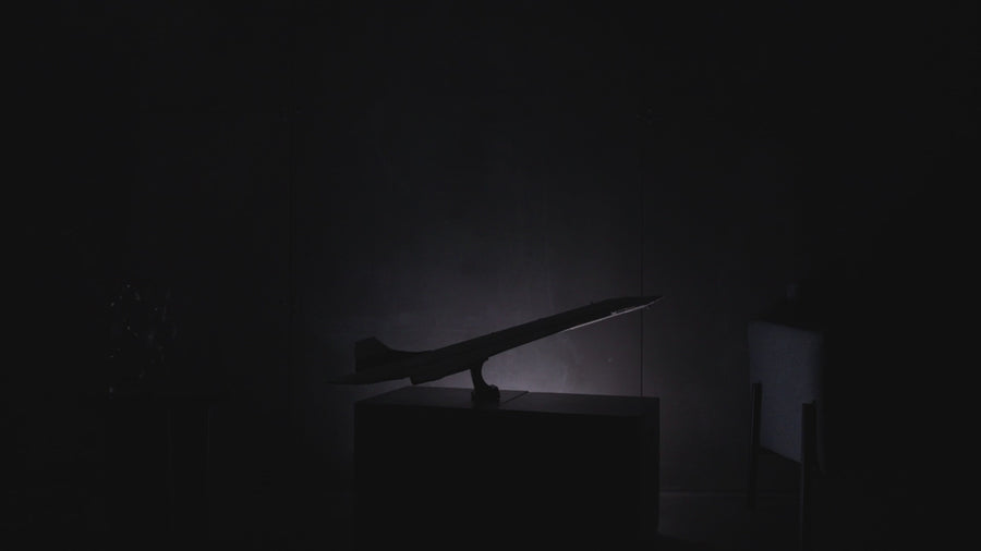 10318 | LEGO® ICONS™ Concorde