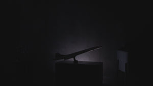 10318 | LEGO® ICONS™ Concorde