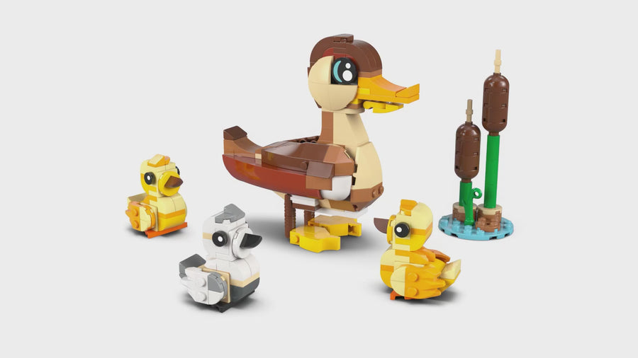 40885 | LEGO® Iconic Duck Family