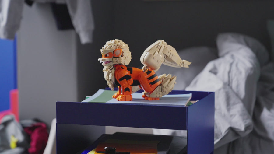 72160 | LEGO® Pokémon™ Arcanine Sets Pokémon