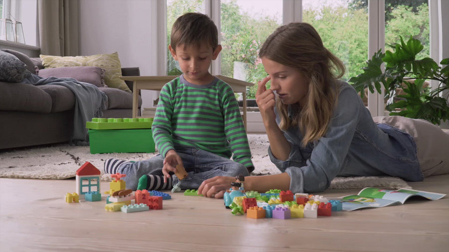 10913 | LEGO® DUPLO® Brick Box