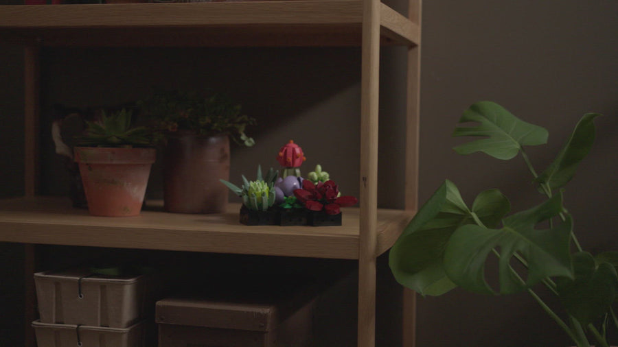 10309 | LEGO® Botanicals Succulents