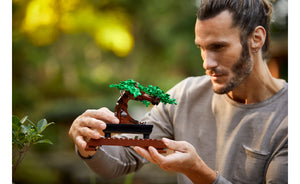 10281 | LEGO® ICONS™ Bonsai Tree