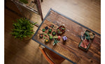10309 | LEGO® ICONS™ Succulents