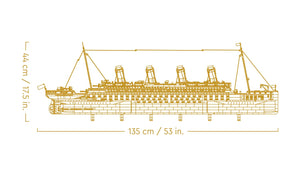 10294 | LEGO® ICONS™ Titanic